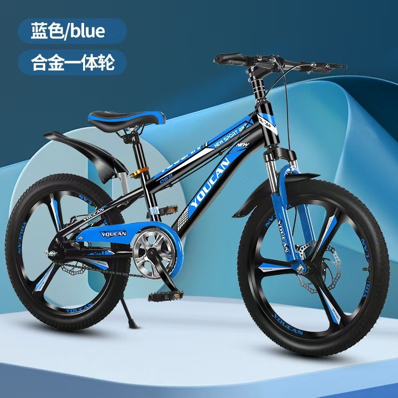 プリンセススタイルキッズマウンテンバイク、女の子向け6～15 - Cycling Gear Of The Year のレビューと価格